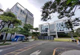 临潼区水果营销策划