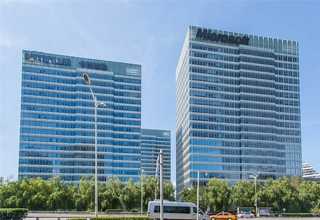 崇明区盆景绿植租赁咨询